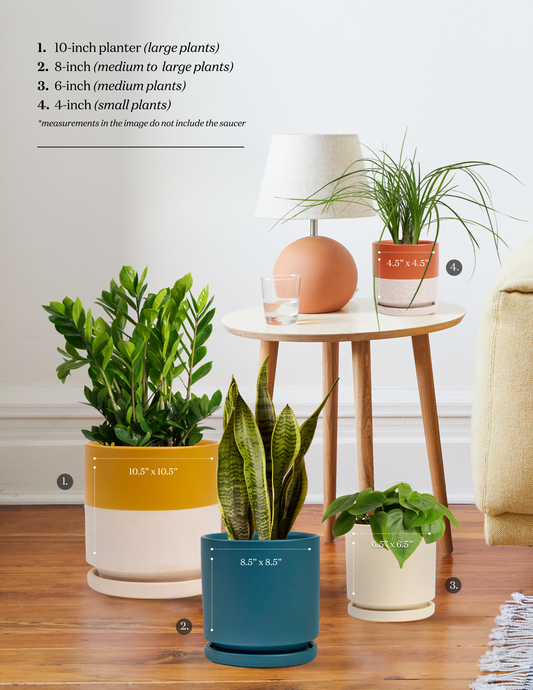indoor planter modern ceramic white tabletop decor