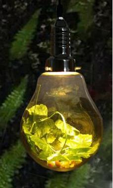 Garden Light Globe Modern Outdoor LED Pathway