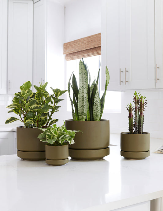 minimalist round ceramic indoor planter