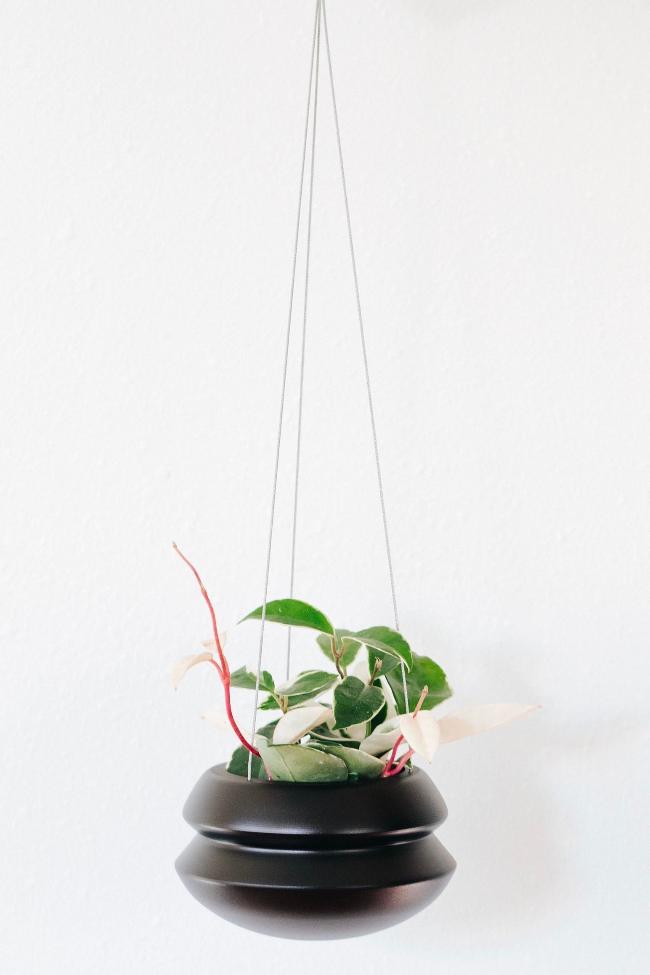 Indoor Planter - Classic, Hanging by Carter + Rose