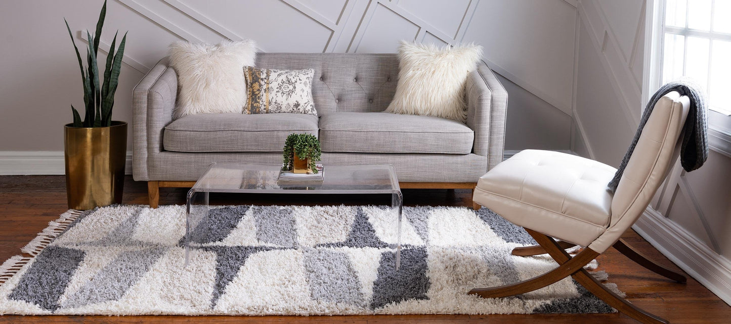 Area Rug – Modern, Shaggy Area