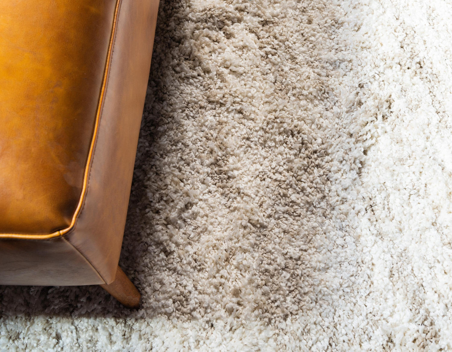 Area Rug – Modern, Marl Shaggy