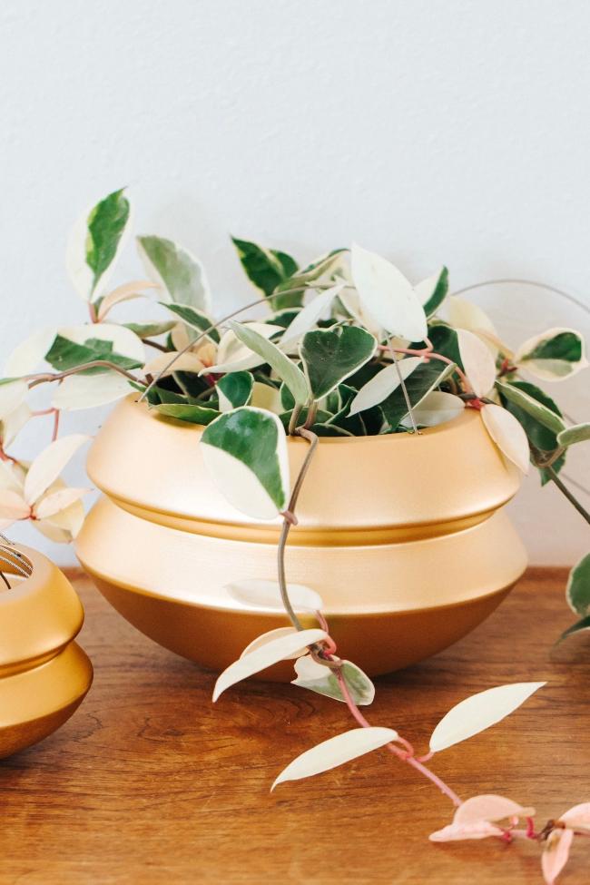 Indoor Planter - Classic, Hanging by Carter + Rose
