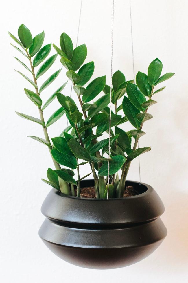 Indoor Planter - Classic, Hanging by Carter + Rose