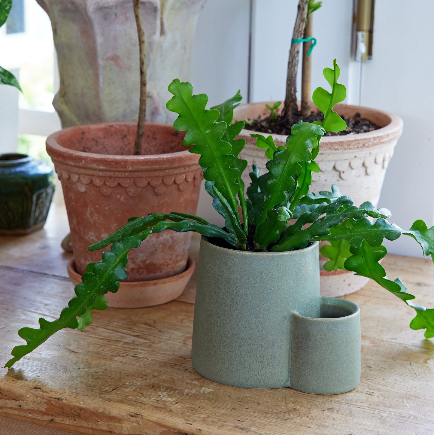 Indoor Planter - Ember Earth Candle +, Ceramic