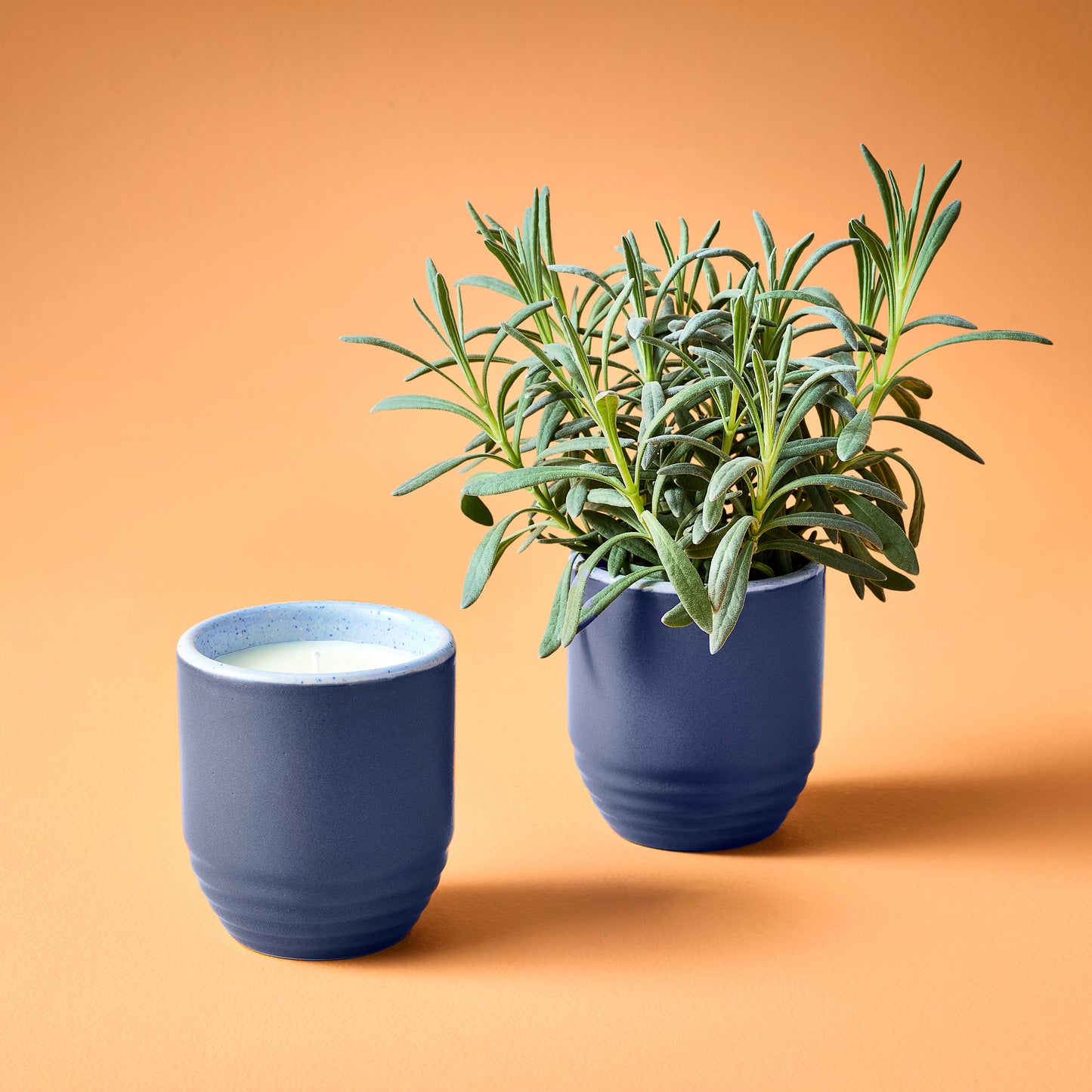Indoor Planter - Garden Vibes Candle/ 2-in-1