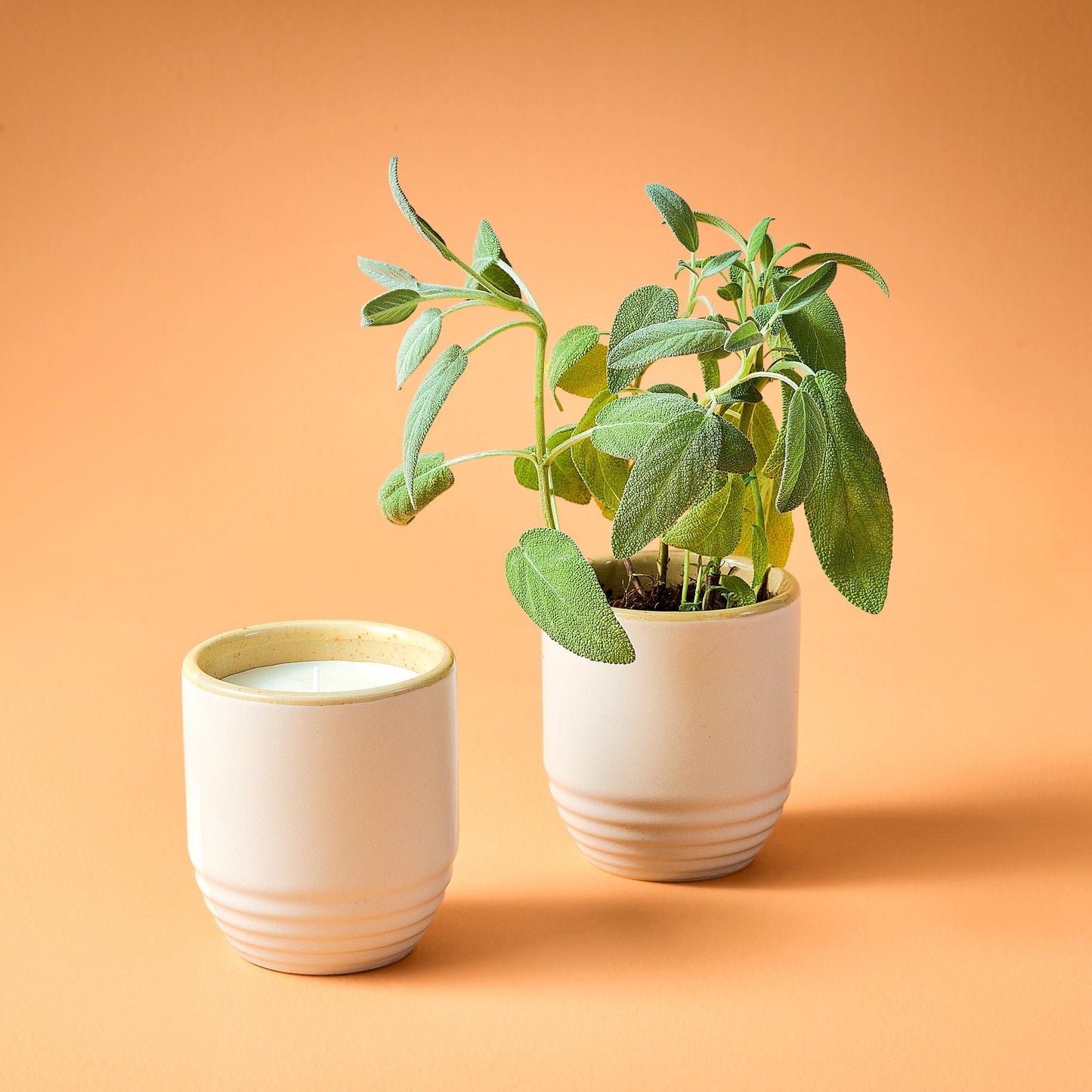 Indoor Planter - Garden Vibes Candle/ 2-in-1