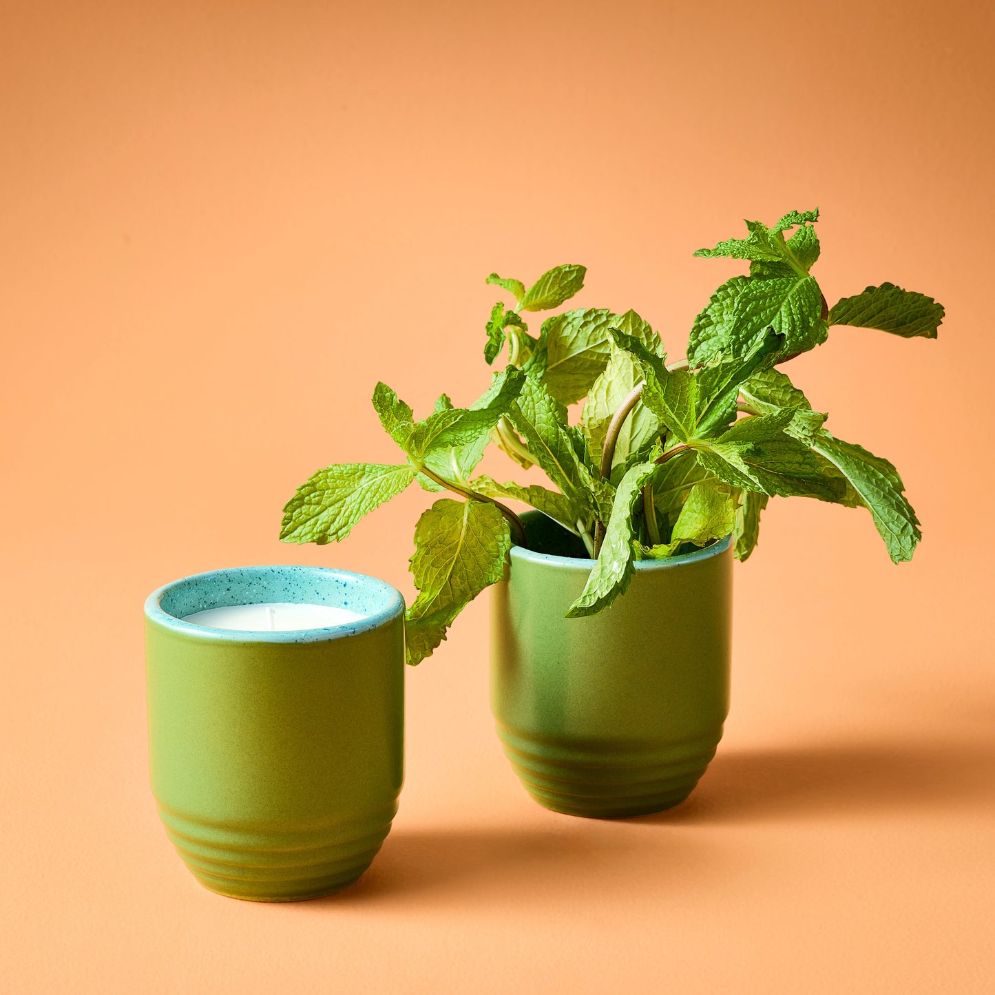 Indoor Planter - Garden Vibes Candle/ 2-in-1