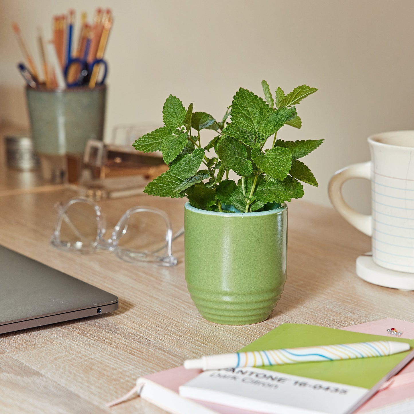 Indoor Planter - Garden Vibes Candle/ 2-in-1