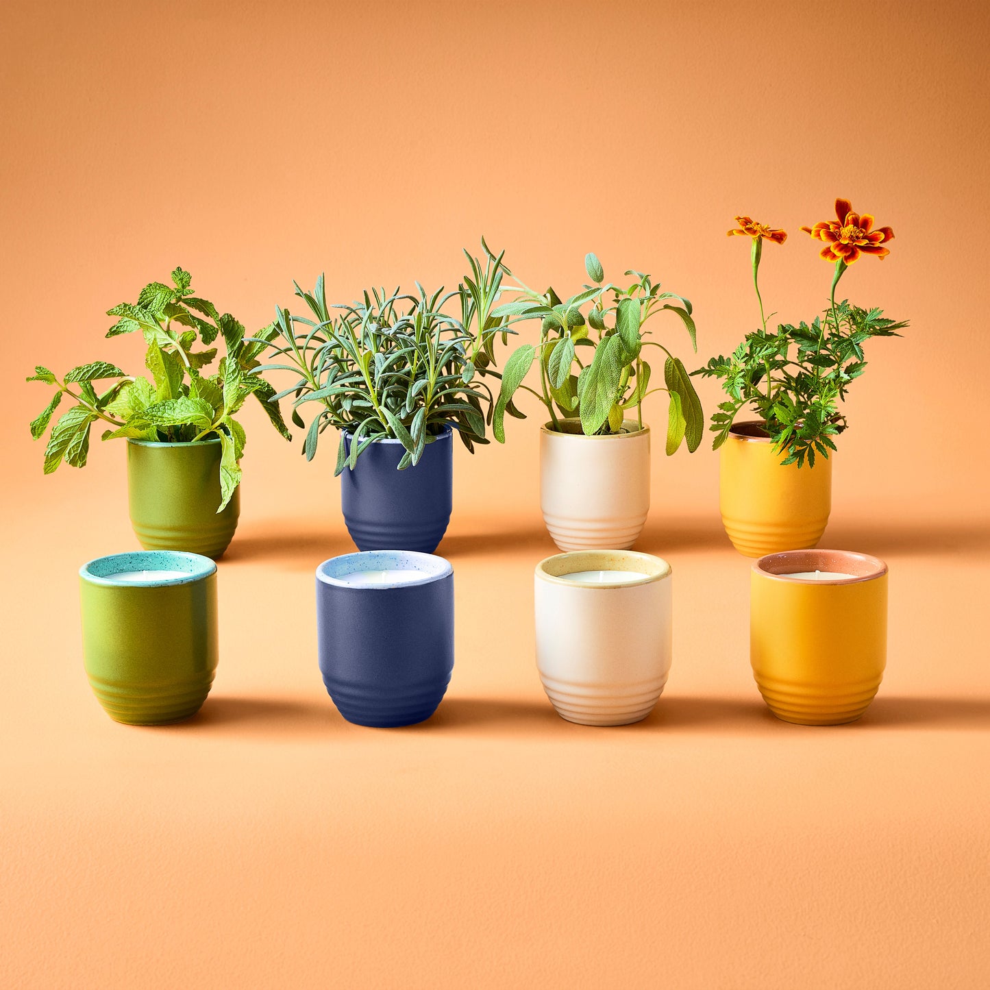 Indoor Planter - Garden Vibes Candle/ 2-in-1