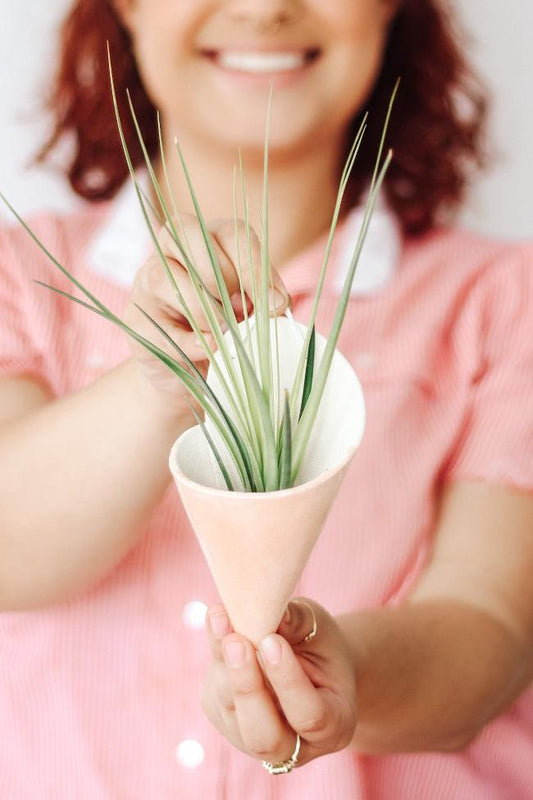 Indoor Planter - Modern, Medium Ceramic Wall