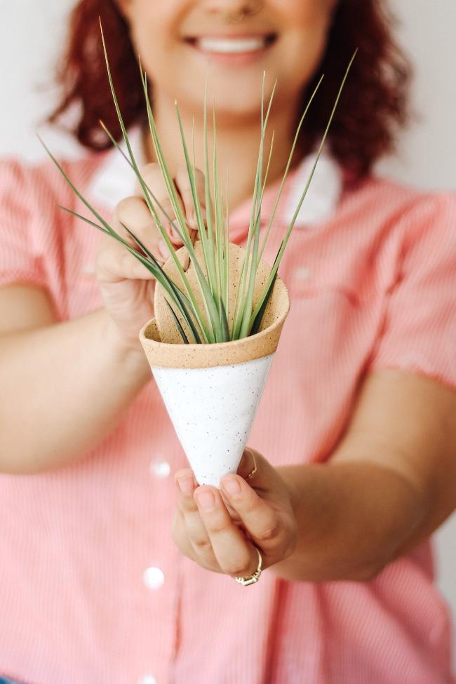 Indoor Planter - Modern, Medium Ceramic Wall