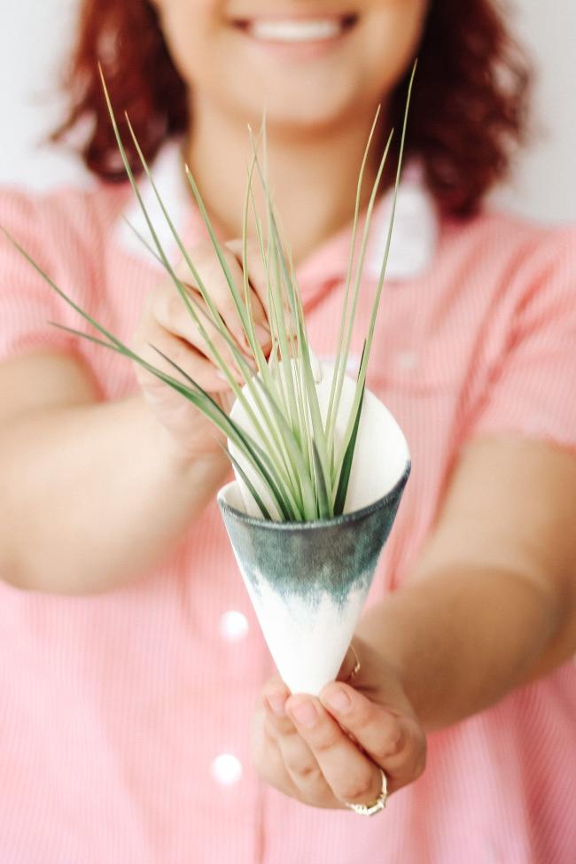 Indoor Planter - Modern, Medium Ceramic Wall