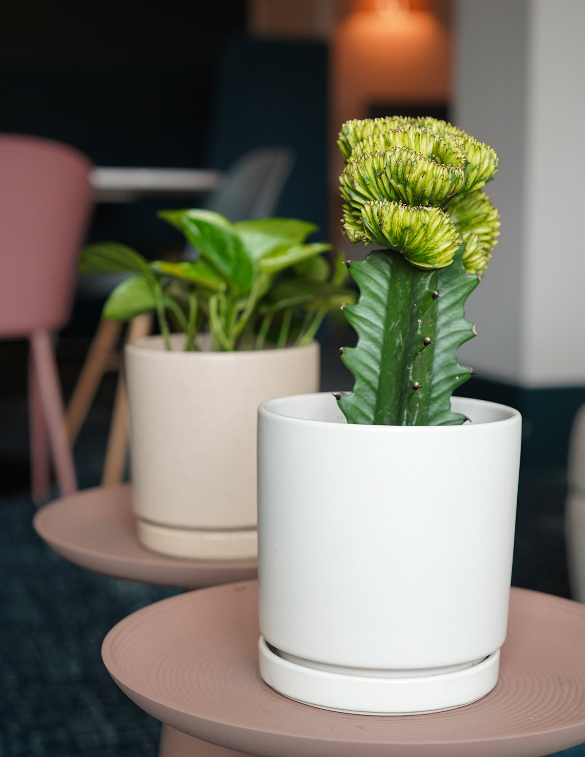 Indoor Planter - Isabella Ceramic