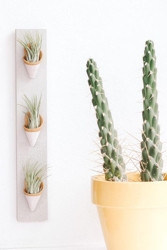 Indoor Planter - Triple Ceramic Wall