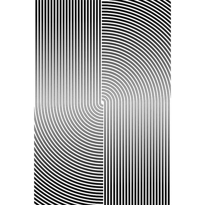 Area Rug - Bohemian, Contemporary Black and White Modern