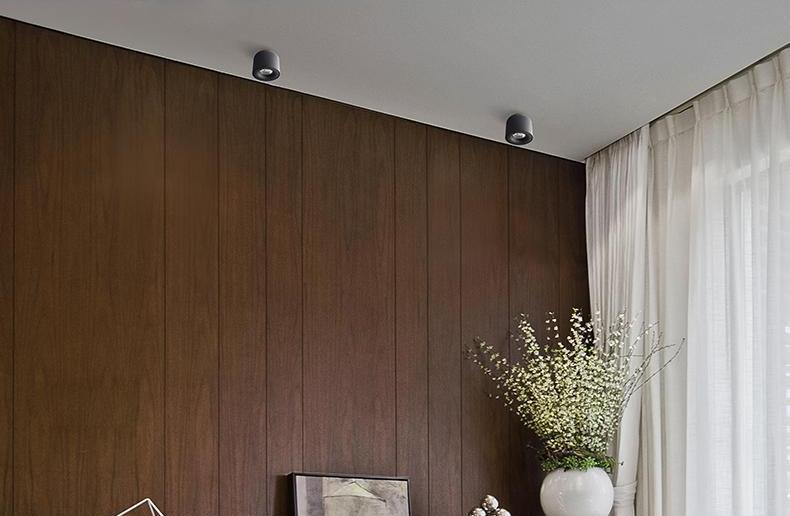 LED Down Spotlight, Matte Aluminum Recessed Light for Home Restaurant Office