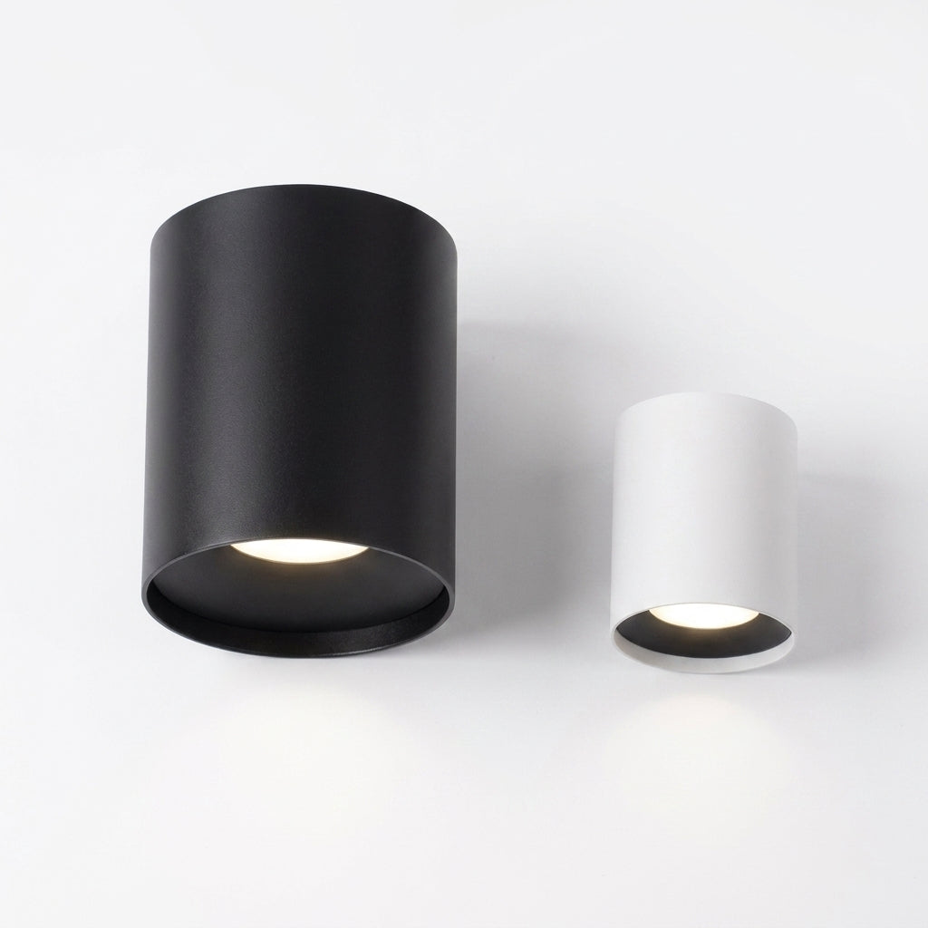 Garden Light on white background