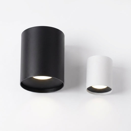 Garden Light on white background