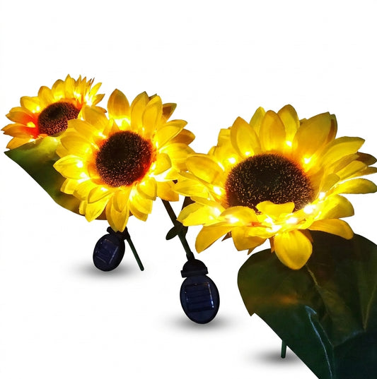 Garden Light on white background
