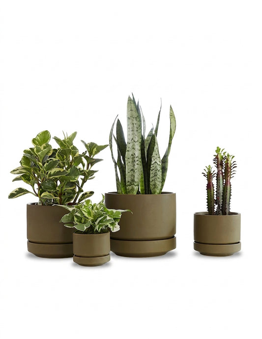 minimalist round ceramic indoor planter