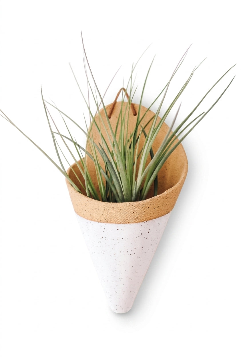 modern ceramic wall planter large indoor