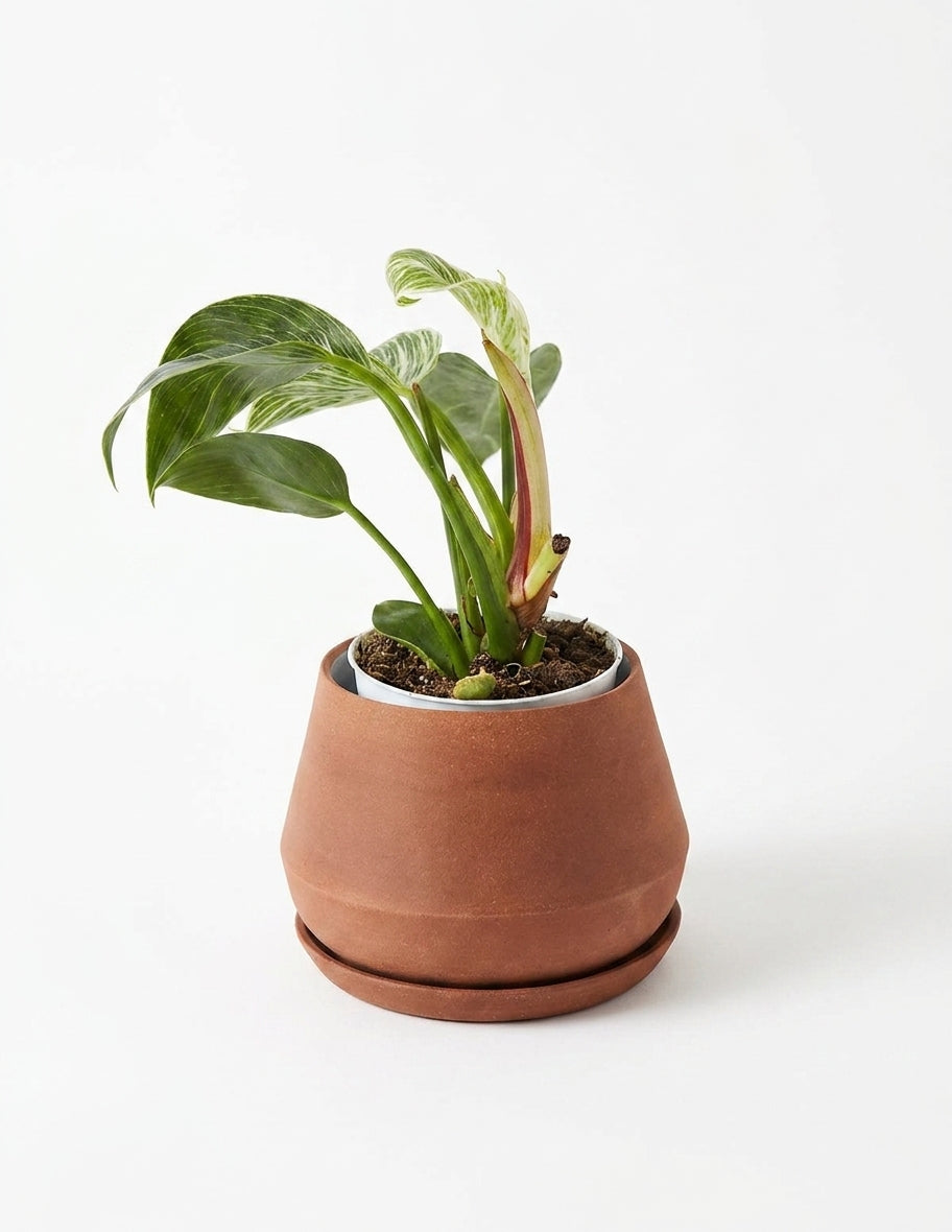 rustic modern ceramic indoor planter decorative pot