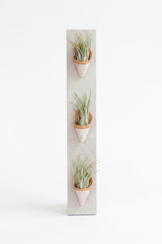 triple ceramic wall planter modern indoor decor