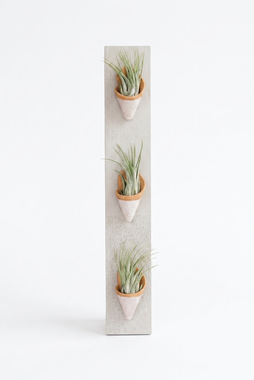triple ceramic wall planter modern indoor decor