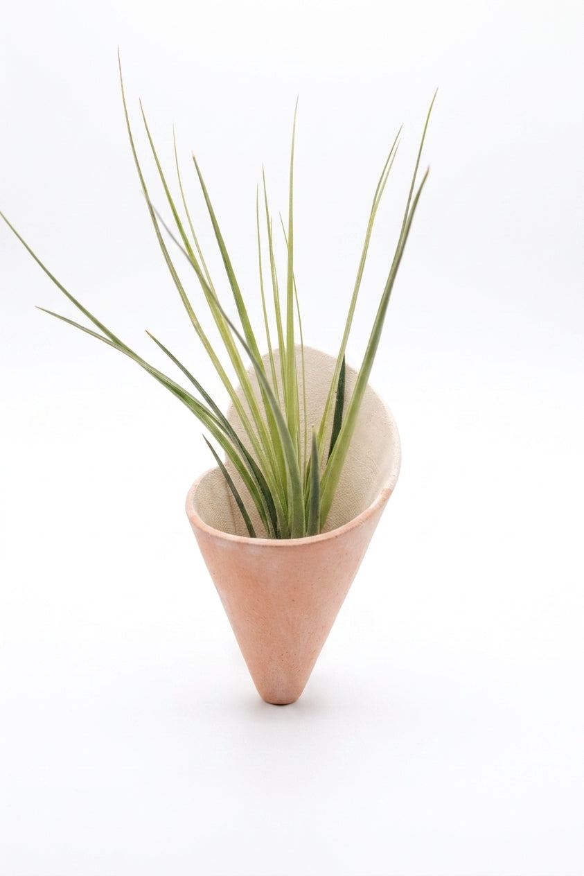 modern ceramic wall planter indoor medium