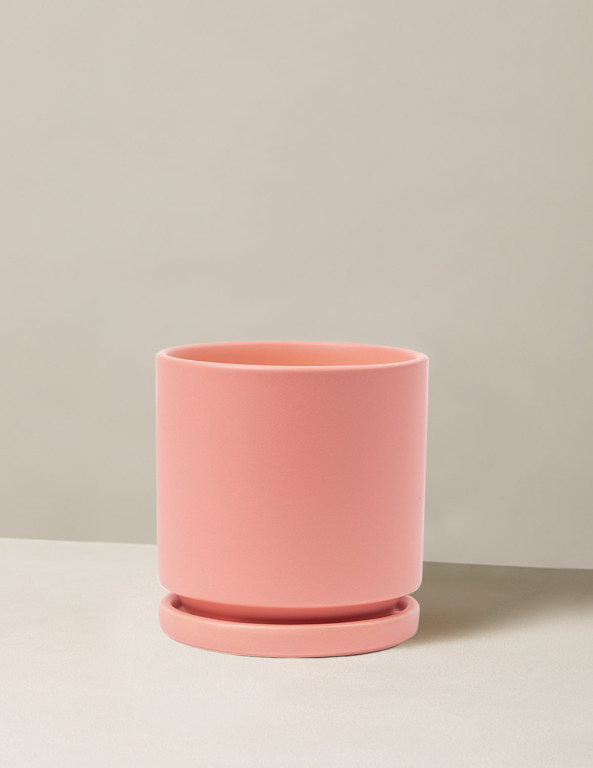 Indoor Planter - Isabella Ceramic