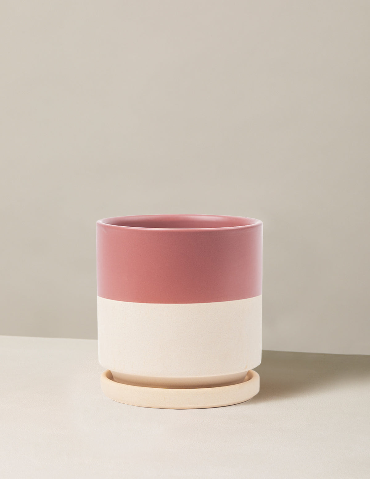 Indoor Planter - Isabella Ceramic