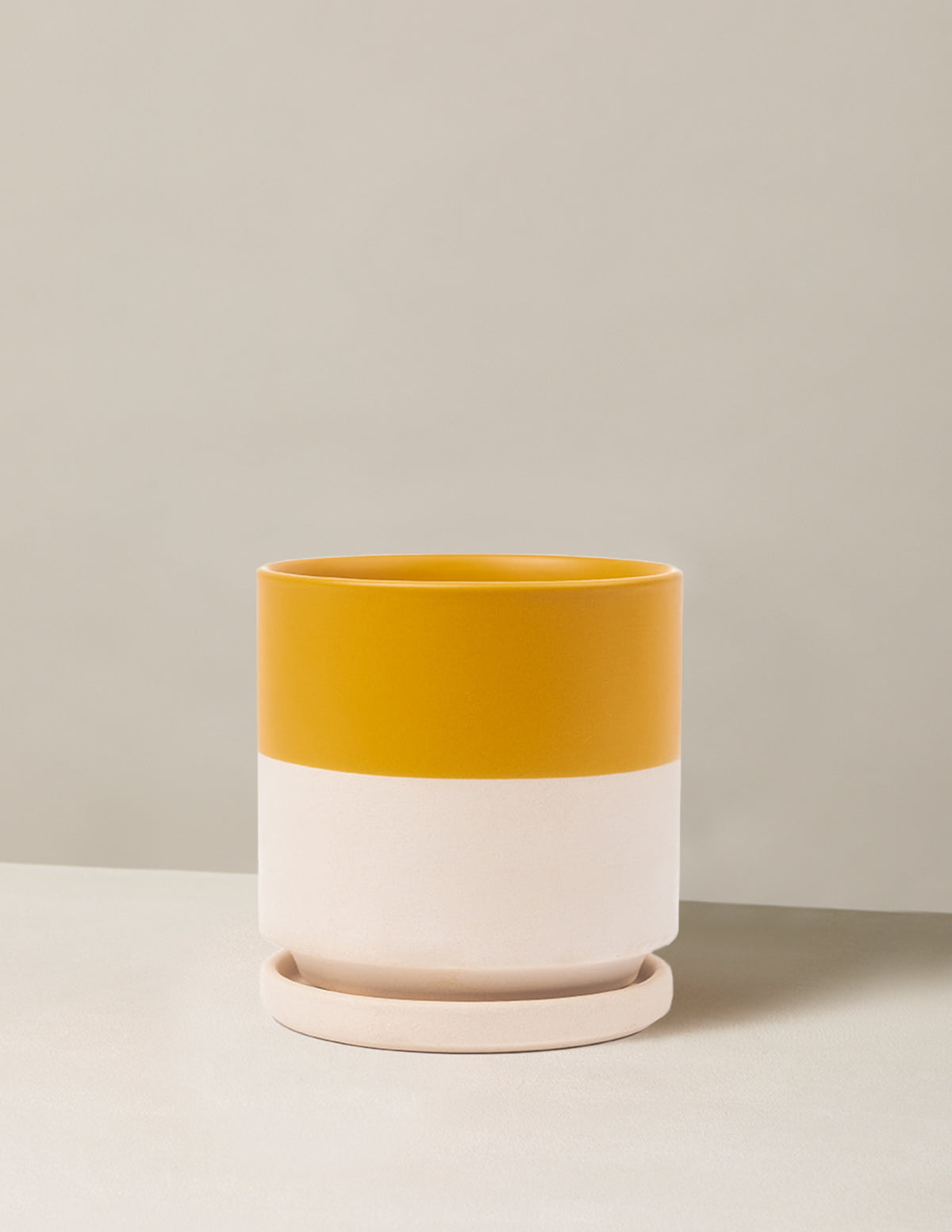 Indoor Planter - Isabella Ceramic