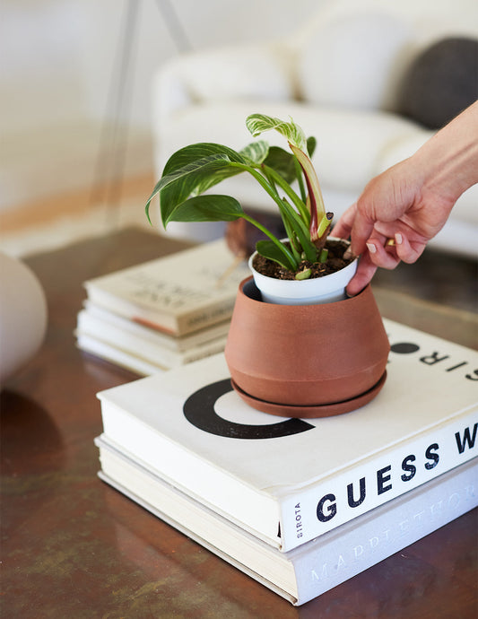 rustic modern ceramic indoor planter decorative pot