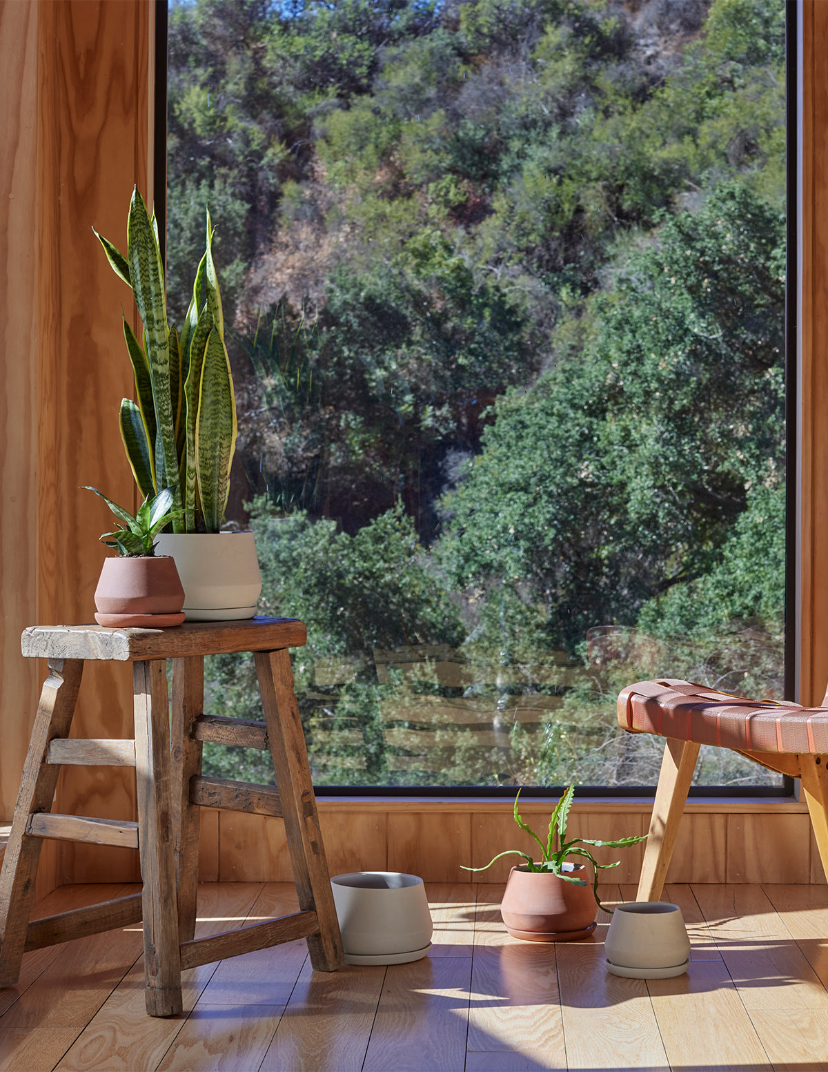 Indoor Planter - Rustic, The Rancho, Ceramic