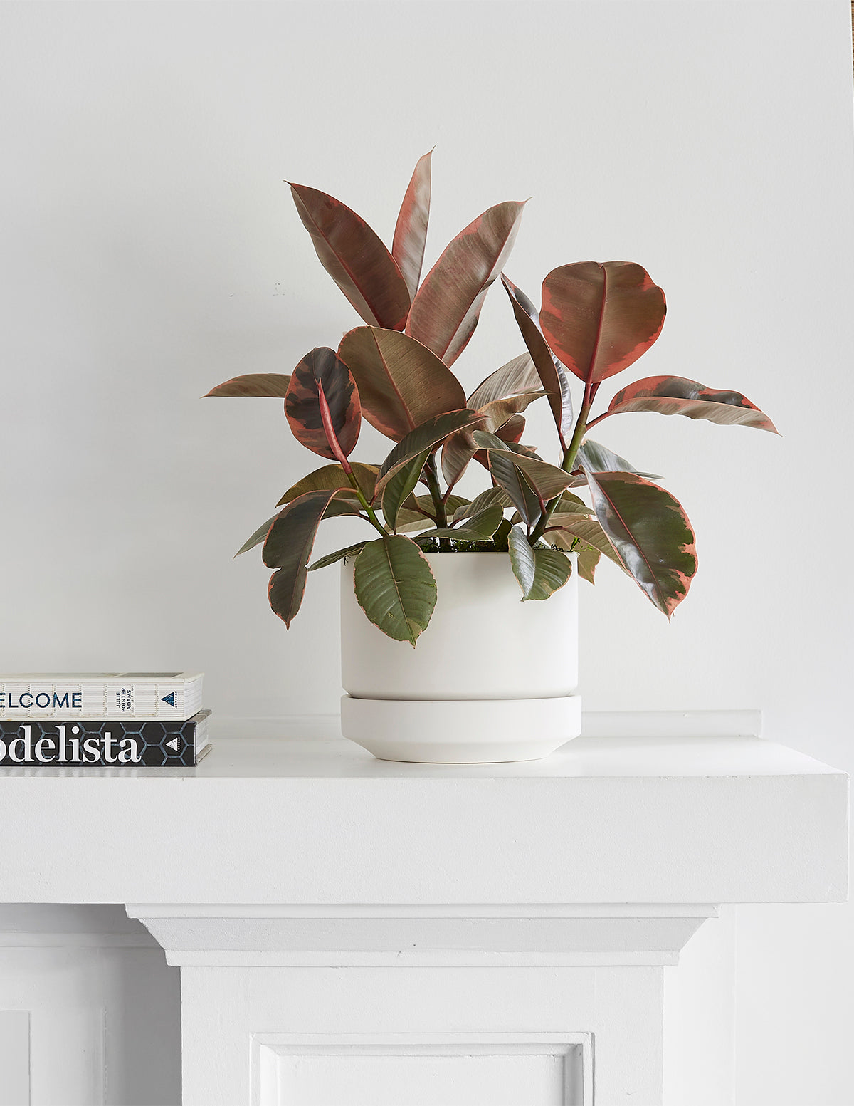 Indoor Planter - Minimalist, Round Two, Ceramic