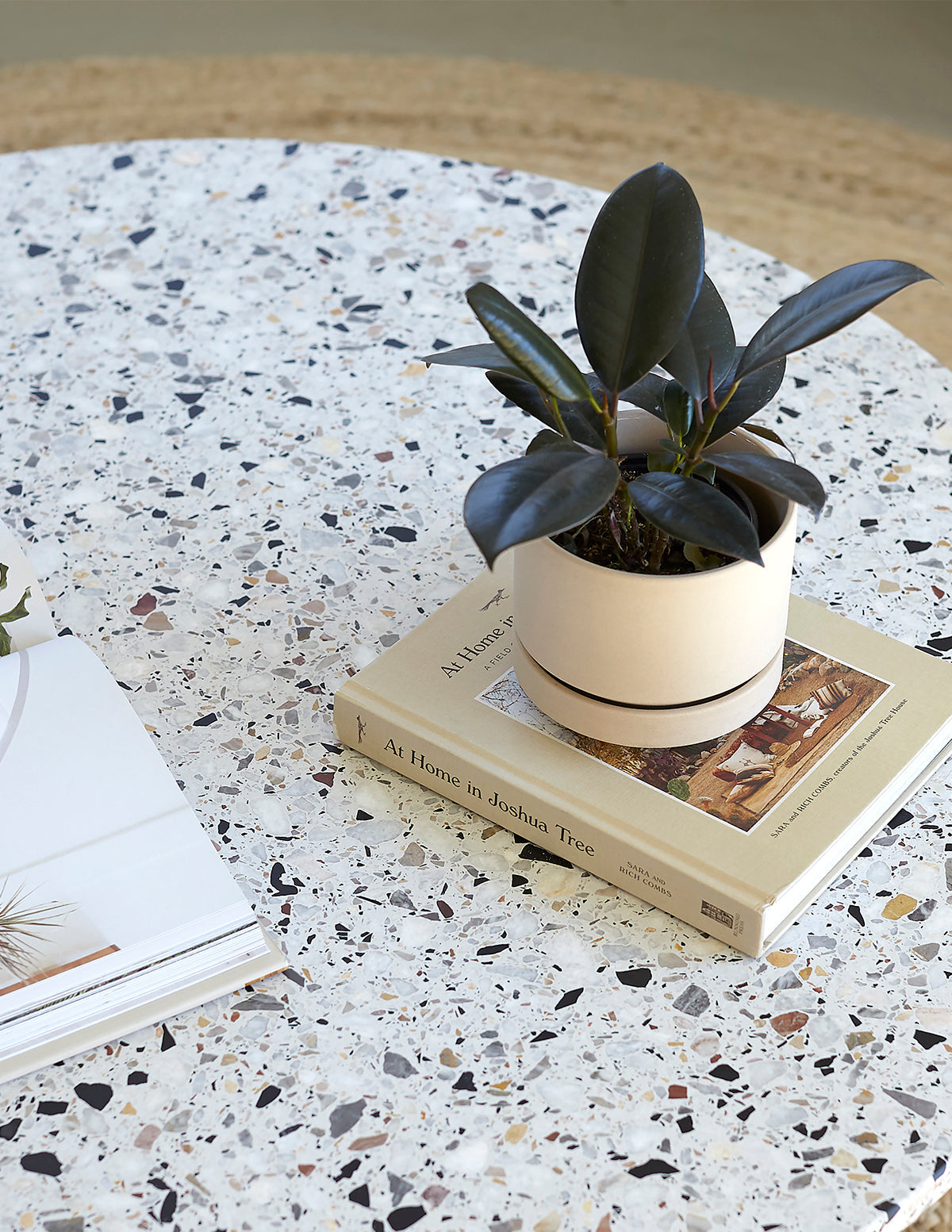 Indoor Planter - Minimalist, Round Two, Ceramic