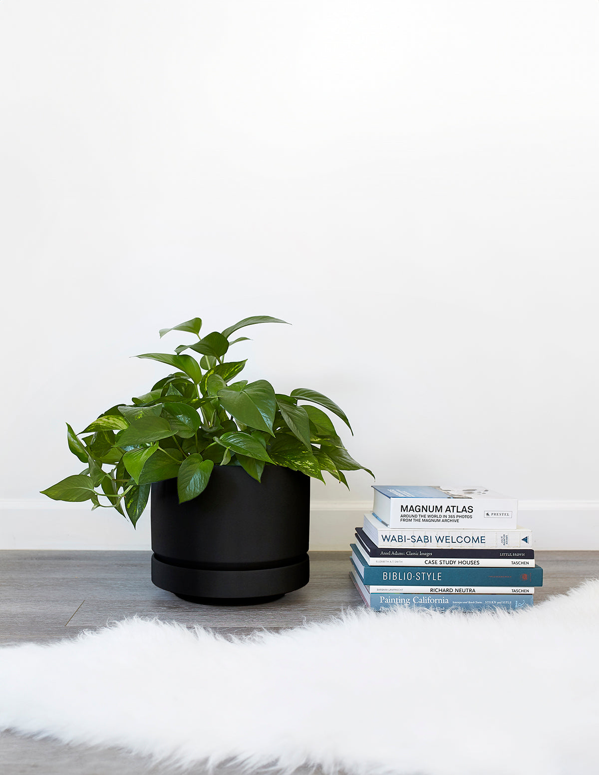 Indoor Planter - Minimalist, Round Two, Ceramic