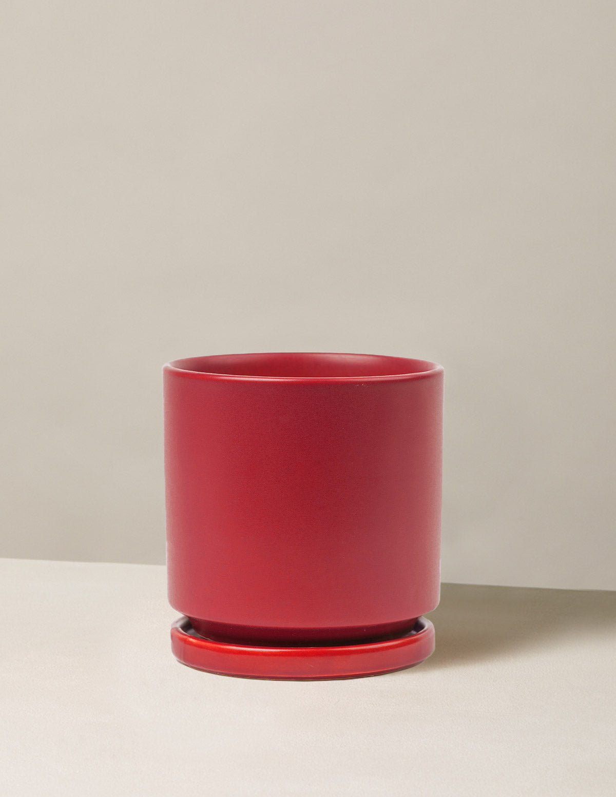 Indoor Planter - Isabella Ceramic